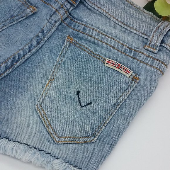 Hudson Flower Field Embroidered Denim Shorts - Picture 3 of 13